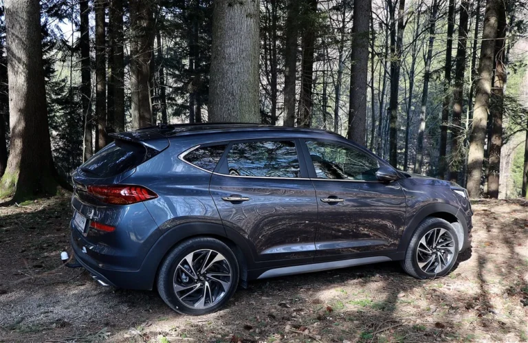 SUV gris garé parmi des arbres dans une forêt.