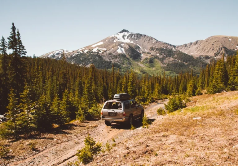 SUV sur chemin montagneux, entouré de sapins et montagnes partiellement enneigées.
